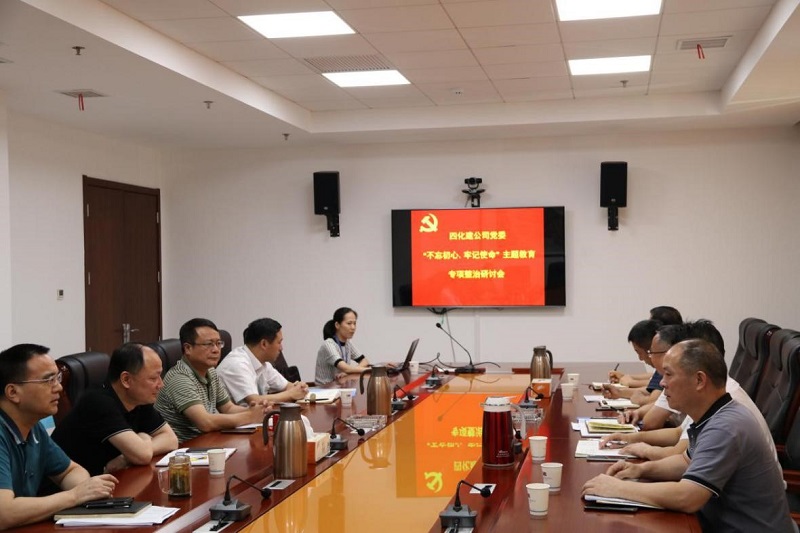 公司黨委開(kāi)展主題教育專項(xiàng)整治研討會(huì)